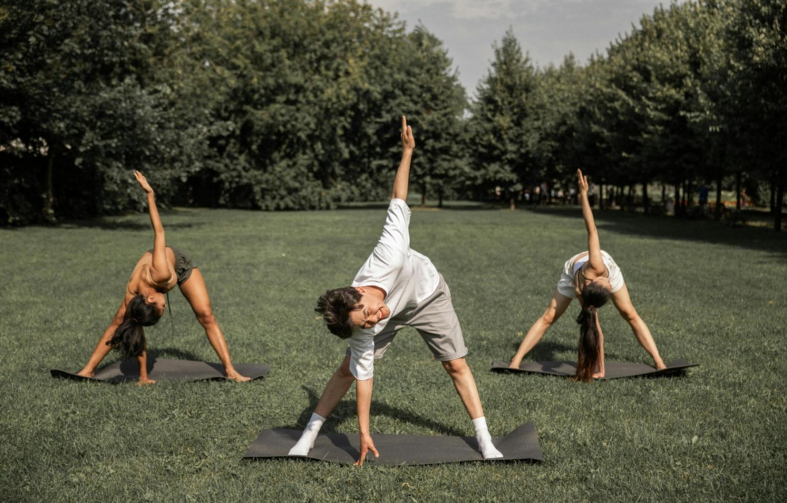 Tampilan dashboard interaktif Sovozef